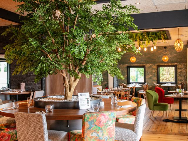 Braise Autour de l'arbre